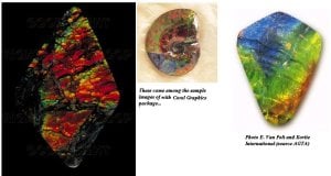 ammolite.JPG