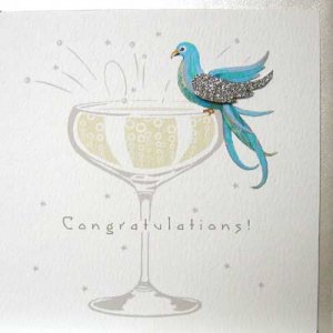 bird-congratulations.jpg