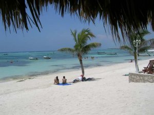 Akumal1210.jpg