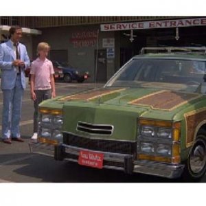 vizfamtruckster.jpg