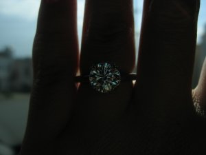 Monterey Proposal Trip 160.jpg