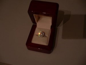 Ring1bbox(1).JPG