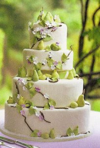 cake-options62396.jpg