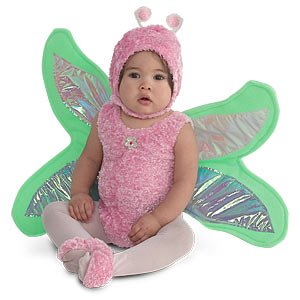 baby butterfly.jpg