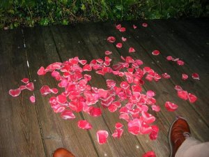 rose petals.JPG