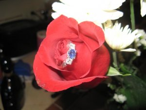 IMG_0505_rose.jpg