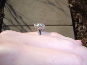 aca262ringpic6.jpg