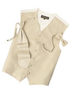 menswarehouse diamondchampagne vest.JPG