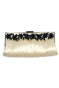 evening bag.jpg