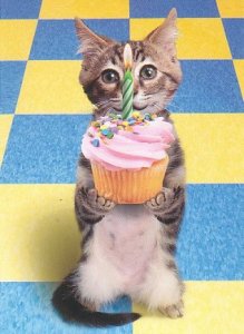 CupcakeKitty.jpg