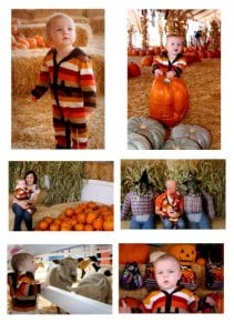 pumpkin collage.jpg