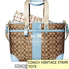 coachdiaperbagblue.png