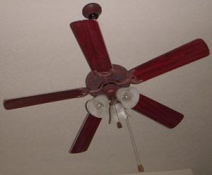 fan2008.JPG