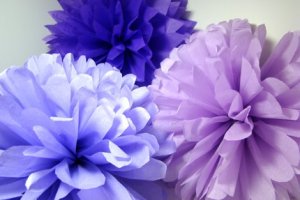 poms blues and purples.jpg