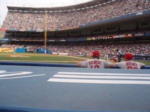 yankee seats.JPG