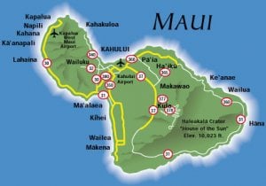 maui_detail.jpg