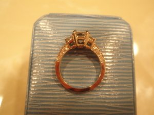 ring2008 004.jpg