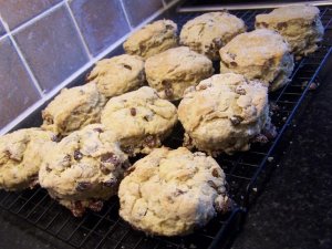 100_5372_scones.JPG