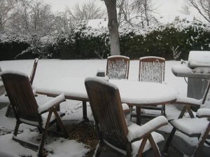 IMGbirthdaysnow0584.JPG