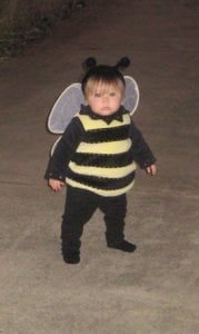 T-as-a-bee.jpg