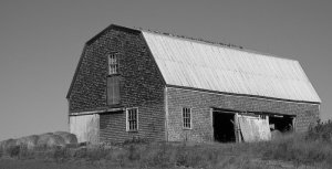 barn1.jpg