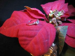 Poinsettia_Bling_1sm2.jpg