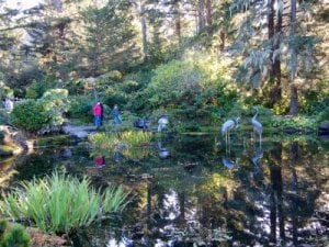 japanesegarden.jpg