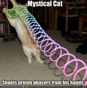 funny-pictures-your-cat-plays-with-a-slinky.jpg