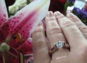 flower114.gif