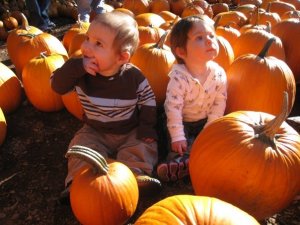 pumpkin babies.jpg