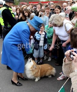 Queen1-3.jpg