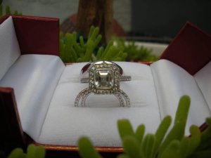 MyAsscher and Bands.jpg