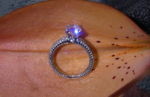 The Ring 015.jpg