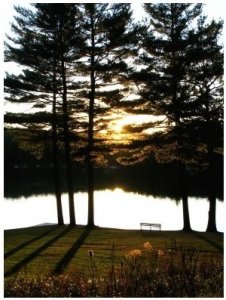 natureandpeacefulsurroundingsatwoodloch.jpg