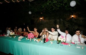 Reception 65 - Toasting.JPG