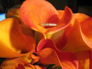 wedding ring in calla.jpg