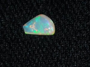 newopals10.JPG