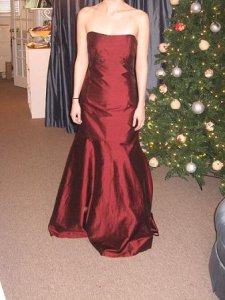 bpicdress 2009.jpg