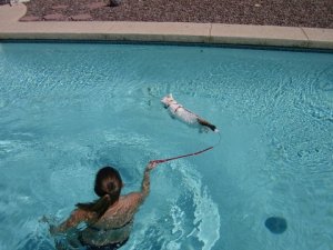 yolanda swimming.jpg