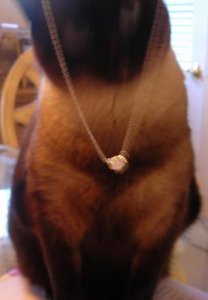 siamesekittynecklace.jpg