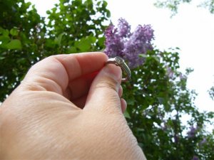 Reach for the Lilacs.jpg