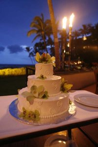 ourweddingmaui21.jpg