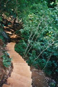 kauaisecretrail1.jpg