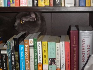 Lolainthebookcase.jpg