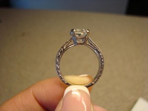 e-ring_1.JPG