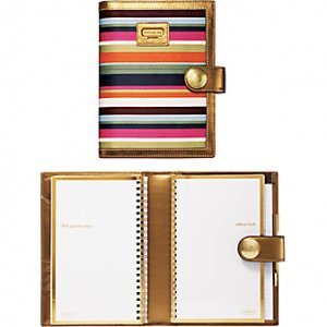 coach planner 1212312.jpeg