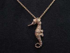 Seahorse.jpg