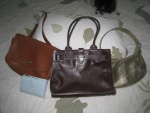 IMG_1369furla.JPG