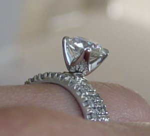 side view rings 0305a.JPG