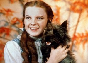 dorothy gale.jpg